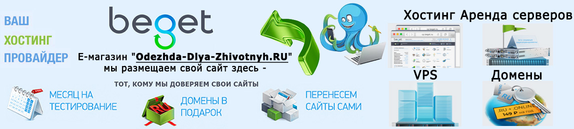 Хостинг Beget